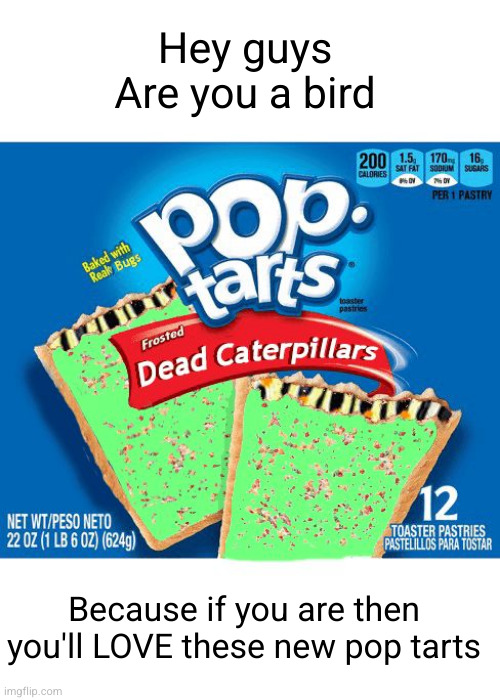 Meme #2,906 | Hey guys
Are you a bird; Because if you are then you'll LOVE these new pop tarts | image tagged in pop tarts,memes,caterpillar,bugs,food,fake | made w/ Imgflip meme maker