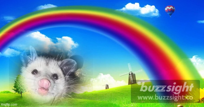 i'm beautiful | image tagged in opossum,possum,rainbow,waffle | made w/ Imgflip meme maker