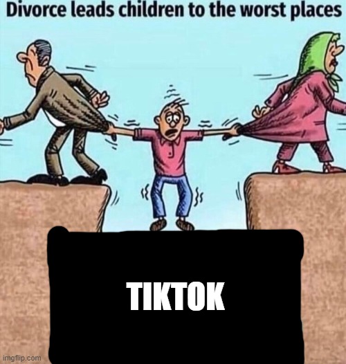 Divorce leads children to the worst places | TIKTOK | image tagged in divorce leads children to the worst places | made w/ Imgflip meme maker