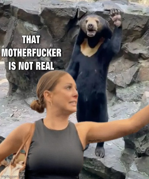 image tagged in jenna wilson,sun bear,china,american airlines,zoo,malaysia | made w/ Imgflip meme maker