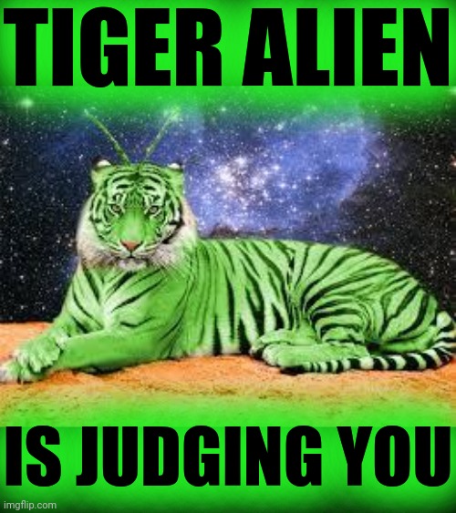 Tiger Alien | TIGER ALIEN; IS JUDGING YOU | image tagged in tiger alien | made w/ Imgflip meme maker