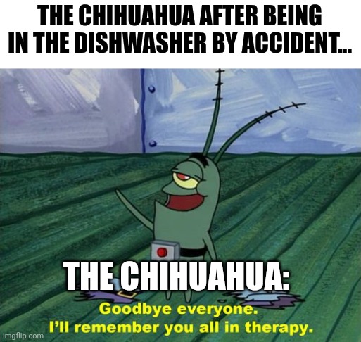Did you put the Chihuahua in the dishwasher again?!?!?!? | THE CHIHUAHUA AFTER BEING IN THE DISHWASHER BY ACCIDENT... THE CHIHUAHUA: | image tagged in goodbye everyone i'll remember you all in therapy | made w/ Imgflip meme maker