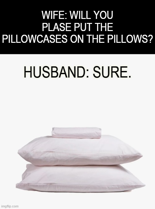 WIFE: WILL YOU PLASE PUT THE PILLOWCASES ON THE PILLOWS? HUSBAND: SURE. | image tagged in memes,fun,husband wife,pillow,cover,please help me | made w/ Imgflip meme maker