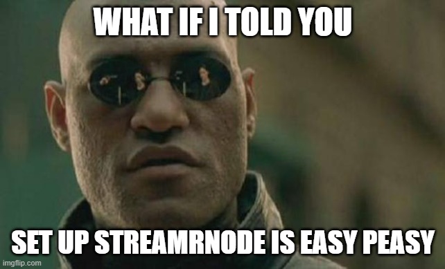 Streamr easy peasy | WHAT IF I TOLD YOU; SET UP STREAMRNODE IS EASY PEASY | image tagged in matrix morpheus | made w/ Imgflip meme maker