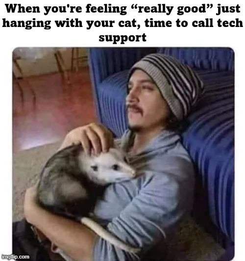 High on life | image tagged in tech support,too damn high,high,legal weed | made w/ Imgflip meme maker