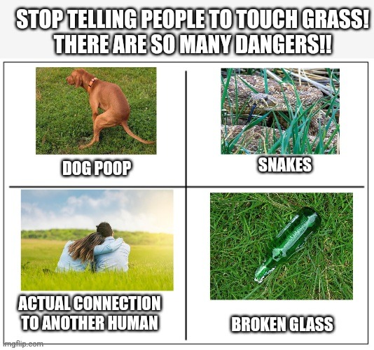 The Danger is Real | image tagged in 4 square grid,touch grass,danger | made w/ Imgflip meme maker