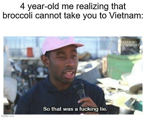 Here comes the aiiirplaaane open wiiiiiiide! | 4 year-old me realizing that broccoli cannot take you to Vietnam: | image tagged in so that was a f---ing lie,liar,broccoli,relatable memes,iceu,plane | made w/ Imgflip meme maker