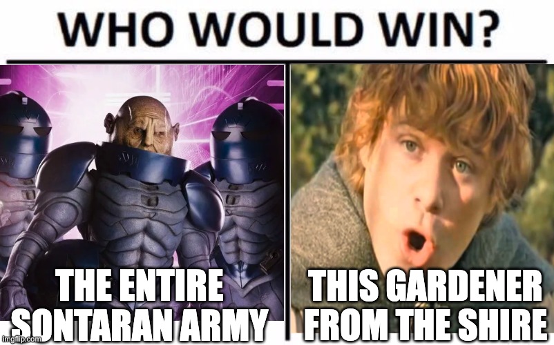 My bet is on the Shire | THE ENTIRE SONTARAN ARMY; THIS GARDENER FROM THE SHIRE | image tagged in who would win,sontaran,doctor who,tolkien,samwise,lotr | made w/ Imgflip meme maker