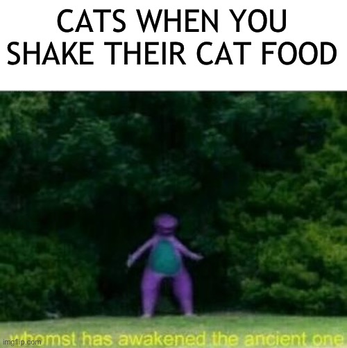 They come out of nowhere | CATS WHEN YOU SHAKE THEIR CAT FOOD | image tagged in whomst has awakened the ancient one,cats,cat memes,funny memes,funny,memes | made w/ Imgflip meme maker