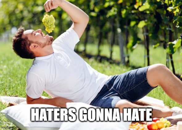 Grapers gonna grape | HATERS GONNA HATE | image tagged in fruit,haters,haters gonna hate,hate,grapes | made w/ Imgflip meme maker