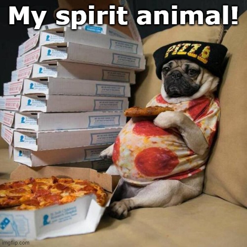 pug life | My spirit animal! | image tagged in funny animals | made w/ Imgflip meme maker