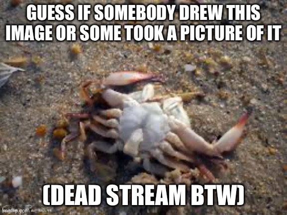 Dead stream | GUESS IF SOMEBODY DREW THIS IMAGE OR SOME TOOK A PICTURE OF IT; (DEAD STREAM BTW) | image tagged in funny,memes,relatable,crabs,stream | made w/ Imgflip meme maker