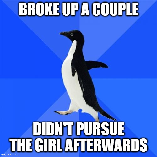 Socially Awkward Penguin Meme | BROKE UP A COUPLE; DIDN'T PURSUE THE GIRL AFTERWARDS | image tagged in memes,socially awkward penguin,AdviceAnimals | made w/ Imgflip meme maker