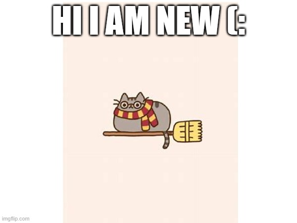 nǐhǎo | HI I AM NEW (: | image tagged in hi | made w/ Imgflip meme maker