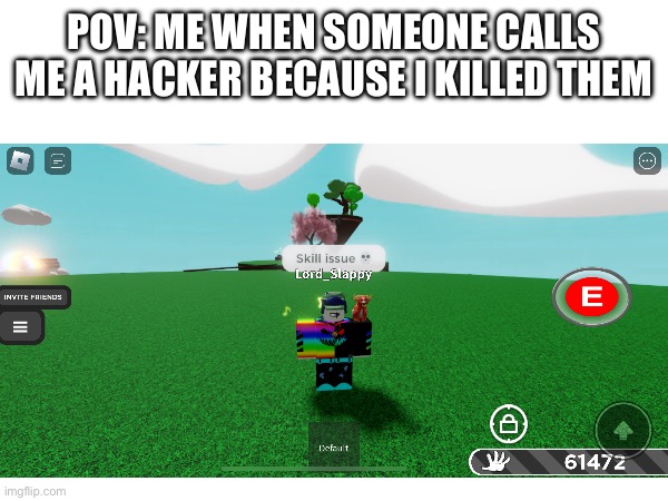 Skill issue | POV: ME WHEN SOMEONE CALLS ME A HACKER BECAUSE I KILLED THEM | image tagged in memes | made w/ Imgflip meme maker