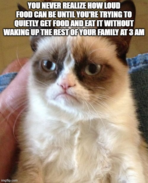 those midnight snacks do be getting dangerous | YOU NEVER REALIZE HOW LOUD FOOD CAN BE UNTIL YOU'RE TRYING TO QUIETLY GET FOOD AND EAT IT WITHOUT WAKING UP THE REST OF YOUR FAMILY AT 3 AM | image tagged in memes,grumpy cat,food,3am | made w/ Imgflip meme maker