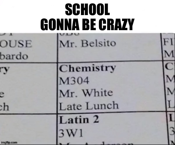 SCHOOL GONNA BE CRAZY | image tagged in walter white,breaking bad | made w/ Imgflip meme maker