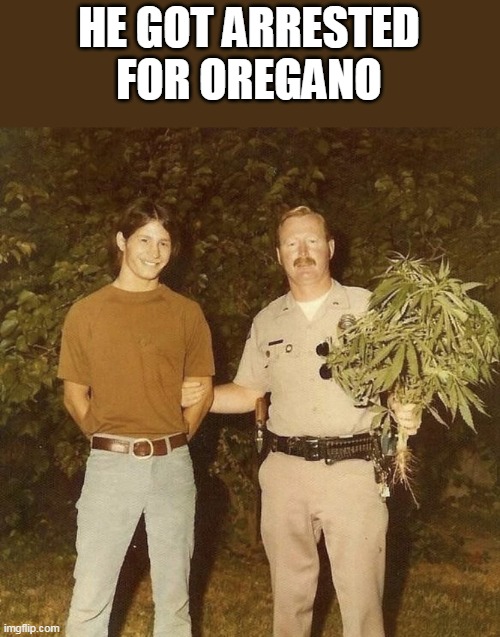 he got arrested for oregano | HE GOT ARRESTED FOR OREGANO | image tagged in arrested,funny,marijuana,police,cops | made w/ Imgflip meme maker