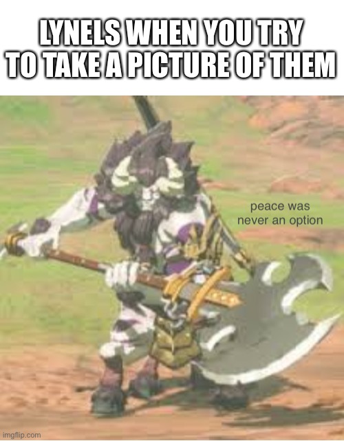 LYNELS WHEN YOU TRY TO TAKE A PICTURE OF THEM | image tagged in lynel,botw | made w/ Imgflip meme maker