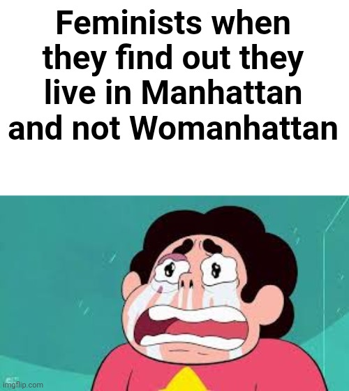 Womanhattan Island | Feminists when they find out they live in Manhattan and not Womanhattan | image tagged in angry feminist,steven universe | made w/ Imgflip meme maker