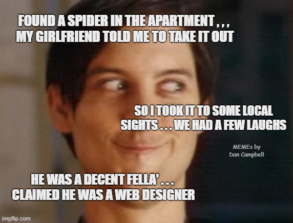 Spiderman Peter Parker | FOUND A SPIDER IN THE APARTMENT , , , 
MY GIRLFRIEND TOLD ME TO TAKE IT OUT; SO I TOOK IT TO SOME LOCAL SIGHTS . . . WE HAD A FEW LAUGHS; MEMEs by Dan Campbell; HE WAS A DECENT FELLA' . . . 
CLAIMED HE WAS A WEB DESIGNER | image tagged in memes,spiderman peter parker | made w/ Imgflip meme maker
