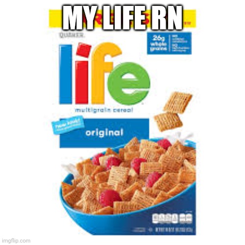 Silly | MY LIFE RN | made w/ Imgflip meme maker