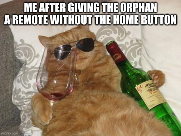 lmao | ME AFTER GIVING THE ORPHAN A REMOTE WITHOUT THE HOME BUTTON | image tagged in funny cat birthday | made w/ Imgflip meme maker