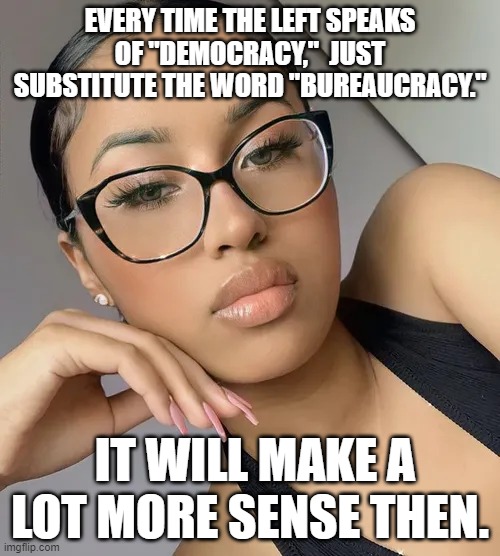 Got this from a YT comment | EVERY TIME THE LEFT SPEAKS OF "DEMOCRACY,"  JUST SUBSTITUTE THE WORD "BUREAUCRACY."; IT WILL MAKE A LOT MORE SENSE THEN. | made w/ Imgflip meme maker