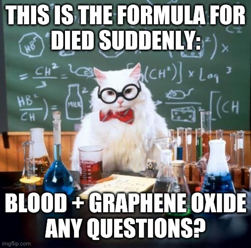 Rumors of another plandemic before the election! | THIS IS THE FORMULA FOR
DIED SUDDENLY:; BLOOD + GRAPHENE OXIDE
ANY QUESTIONS? | image tagged in memes,chemistry cat | made w/ Imgflip meme maker