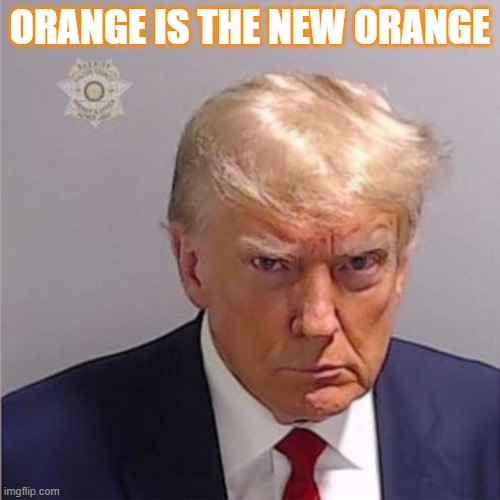Orange Is The New Orange | ORANGE IS THE NEW ORANGE | image tagged in orange,trump,mugshot | made w/ Imgflip meme maker