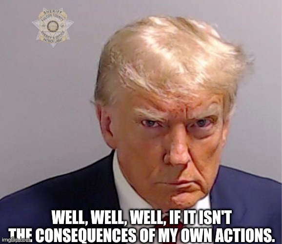 Trump | WELL, WELL, WELL, IF IT ISN'T THE CONSEQUENCES OF MY OWN ACTIONS. | image tagged in mug shot,trump,criminal,president,jail,arrested | made w/ Imgflip meme maker