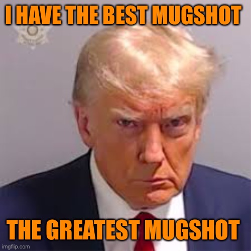 Trump, making county jails Great Again | I HAVE THE BEST MUGSHOT; THE GREATEST MUGSHOT | image tagged in lynch1979,donald trump,orange is the new black,front page,lol | made w/ Imgflip meme maker