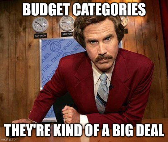 Budget Categories | BUDGET CATEGORIES; THEY'RE KIND OF A BIG DEAL | image tagged in ron burgundy,budget | made w/ Imgflip meme maker