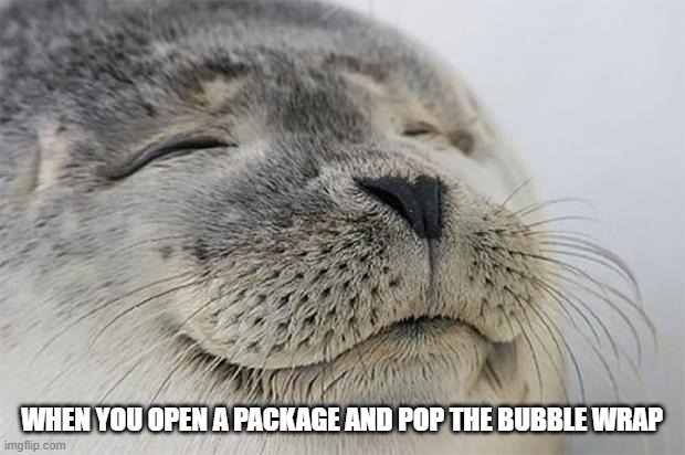 its so satisfying | WHEN YOU OPEN A PACKAGE AND POP THE BUBBLE WRAP | image tagged in memes,satisfied seal,meme,bubble wrap | made w/ Imgflip meme maker