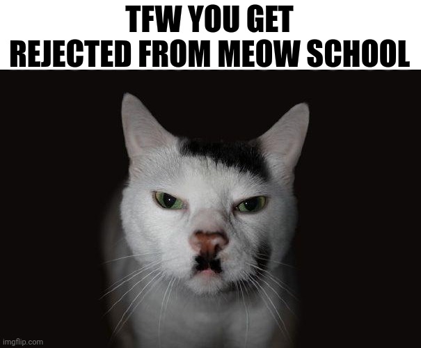 Hitler Cat | TFW YOU GET REJECTED FROM MEOW SCHOOL | image tagged in hitler cat | made w/ Imgflip meme maker