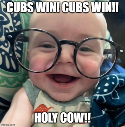Holy Cow!! | image tagged in chicago cubs,baseball,major league baseball,cute | made w/ Imgflip meme maker