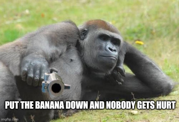 Gorilla with a gun | PUT THE BANANA DOWN AND NOBODY GETS HURT | image tagged in gorilla with a gun | made w/ Imgflip meme maker