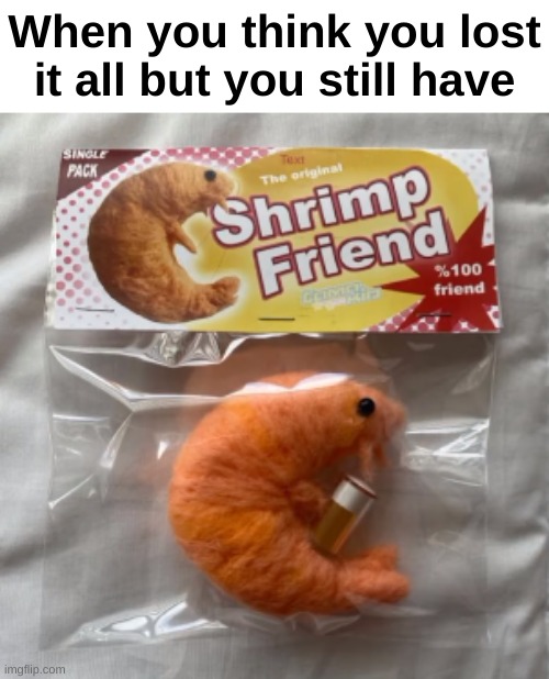 Yay | When you think you lost it all but you still have | image tagged in memes,funny,shrimp,wholesome,friends,front page plz | made w/ Imgflip meme maker