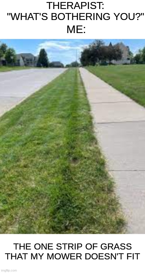 This happens way to much | THERAPIST: "WHAT'S BOTHERING YOU?"; ME:; THE ONE STRIP OF GRASS THAT MY MOWER DOESN'T FIT | image tagged in ocd,mowing,memes,triggered | made w/ Imgflip meme maker