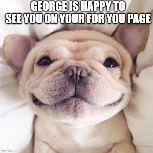 up vote for a happy day | GEORGE IS HAPPY TO SEE YOU ON YOUR FOR YOU PAGE | image tagged in dogs,dog,funny dogs,cute dog,dog memes,happy dog | made w/ Imgflip meme maker