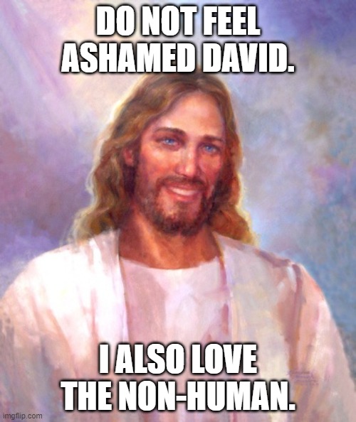 God Loves Everyone Human or Not. | DO NOT FEEL ASHAMED DAVID. I ALSO LOVE THE NON-HUMAN. | image tagged in memes,smiling jesus | made w/ Imgflip meme maker