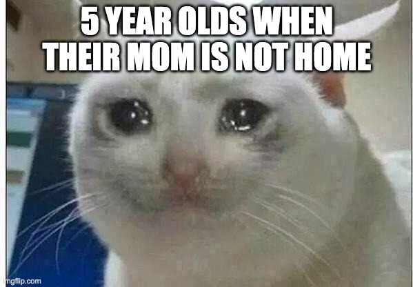 crying cat | 5 YEAR OLDS WHEN THEIR MOM IS NOT HOME | image tagged in crying cat | made w/ Imgflip meme maker