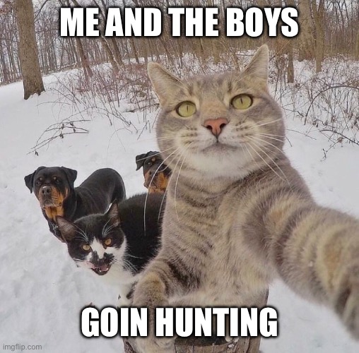 Hunters would love this | ME AND THE BOYS; GOIN HUNTING | image tagged in fresh memes,funny,memes,hunting | made w/ Imgflip meme maker