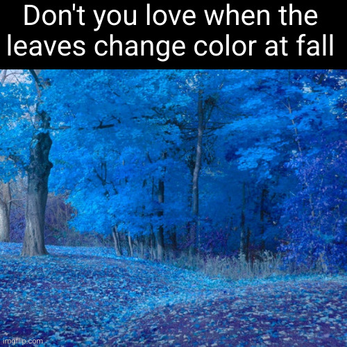 Meme #3,494 | Don't you love when the leaves change color at fall | image tagged in memes,fall,leaves,blue,funny,cursed | made w/ Imgflip meme maker