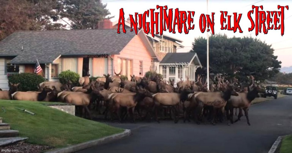 image tagged in horror movie,a nightmare on elm street,nightmare on elm street,elk,animals,freddy krueger | made w/ Imgflip meme maker