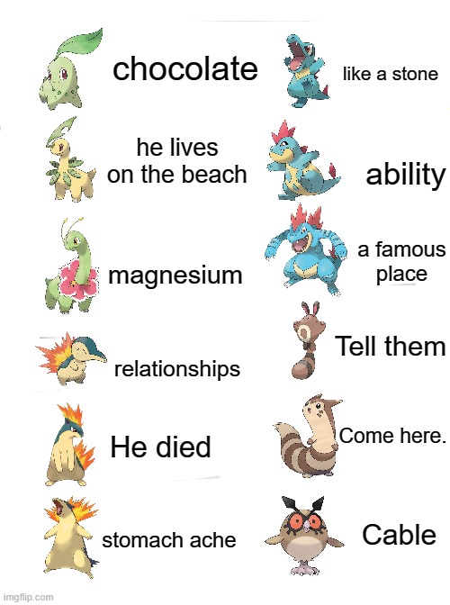 I tried Google translating Johto Pokemon 100 times. #152 to #163 | chocolate; like a stone; he lives on the beach; ability; a famous place; magnesium; Tell them; relationships; Come here. He died; Cable; stomach ache | image tagged in memes,pokemon,pokemon memes,chocolate | made w/ Imgflip meme maker