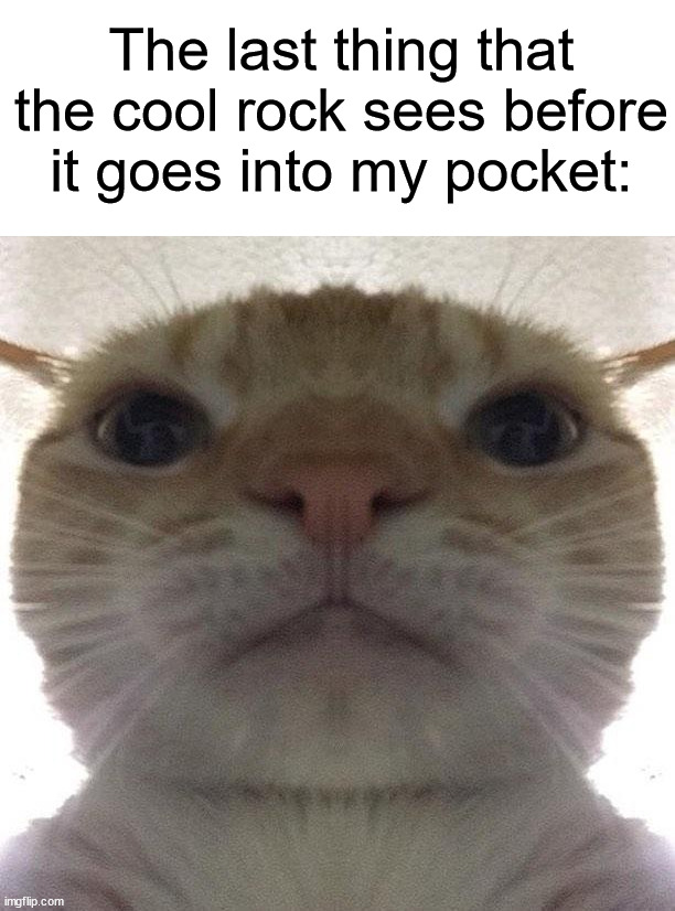 Anyone else enjoy finding rocks? ✍️(◔◡◔) | The last thing that the cool rock sees before it goes into my pocket: | image tagged in staring cat/gusic,memes,funny,true story,relatable memes,rocks | made w/ Imgflip meme maker