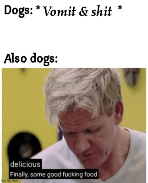 Dogs are Disgusting | image tagged in funny memes,poop,shitposting,dogs,animals,gross | made w/ Imgflip meme maker
