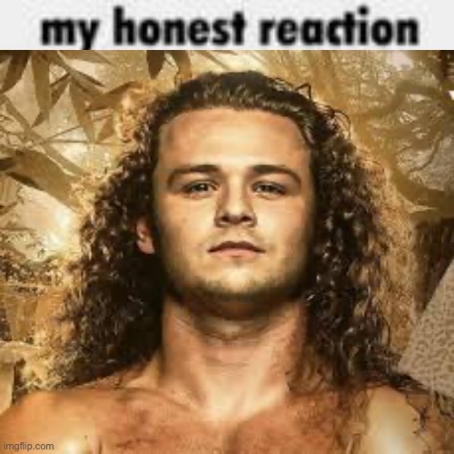 My Honest Reaction Imgflip