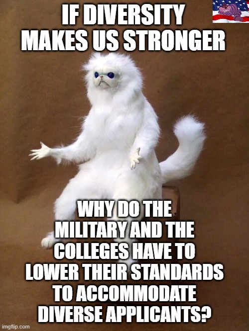 Something to ponder | IF DIVERSITY MAKES US STRONGER; WHY DO THE MILITARY AND THE COLLEGES HAVE TO LOWER THEIR STANDARDS TO ACCOMMODATE DIVERSE APPLICANTS? | image tagged in but why cat | made w/ Imgflip meme maker